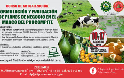 “Formulación y evaluación de planes de negocio en el marco del PROCOMPITE”