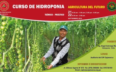 Curso Teórico – Práctico: HIDROPONÍA “Agricultura del futuro”