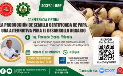 La producción de semilla certificada de papa, una alternativa para el desarrollo agrario
