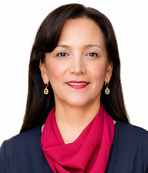 Mariela Núñez Figueroa