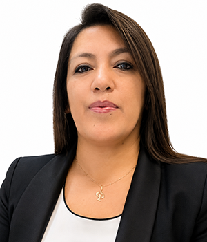 Patricia J. Rumiche Caruajulca